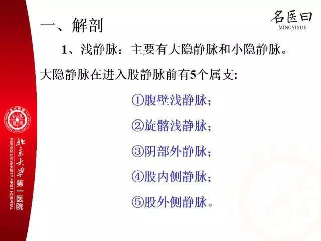 下图是大隐静脉和小隐静脉的解剖图,临床上最常见的是大隐静脉曲张,小