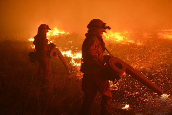 内蒙古近日连发两起森林大火 一处火灾还在扑