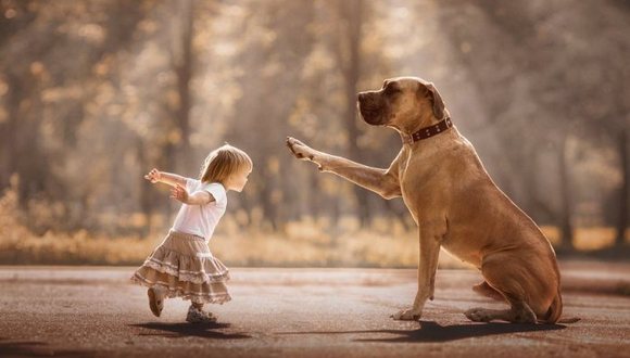 大狗狗和小宝宝一起 才是世上最暖的治愈系