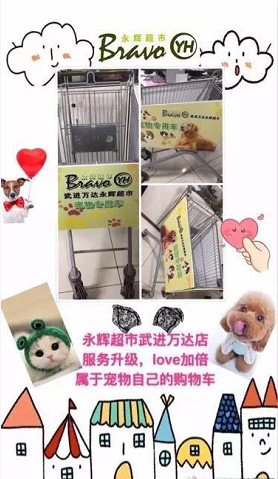 永辉推出了宠物专用购物车 顾客可以带猫狗逛超市了 中国财经观察网www.xsgou.com
