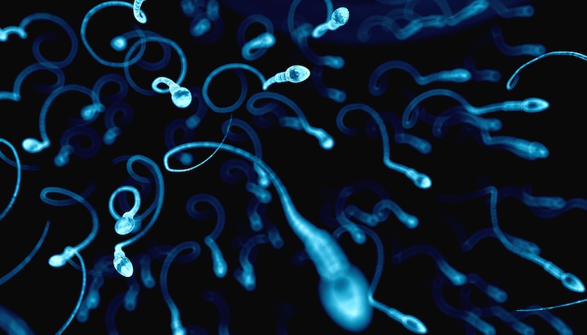 人类要“灭绝”?研究称西方男性精子40年锐减六成