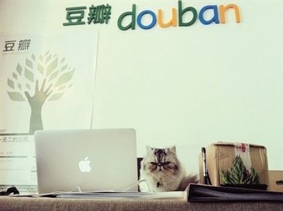 因为复联3 我又点开了豆瓣影评