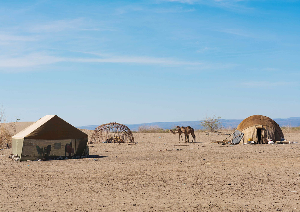 非洲游牧部落阿法遭遇严重旱灾孩子找到水源才能上学