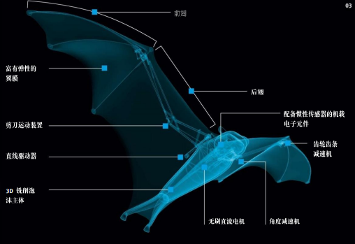 2018机器人大会|一大批仿生蝙蝠正向我们飞来