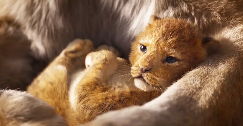 《狮子王》真人版将上映,技术能否突破漫改电