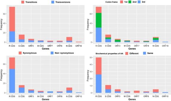 中科院最新研究：华南海鲜市场不是病毒始发地