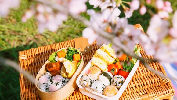 日本便当的生活美学|近观日本