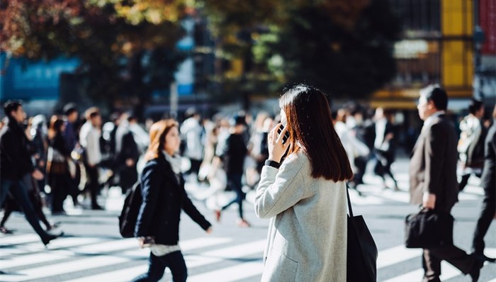 管家婆马报图今晚