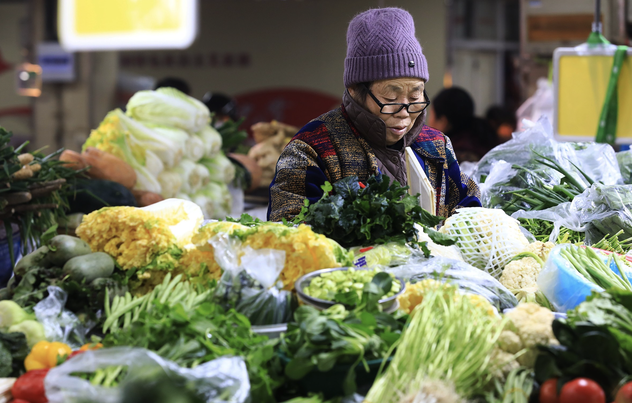 食品价格由涨转降，2024年12月CPI同比上涨0.1%