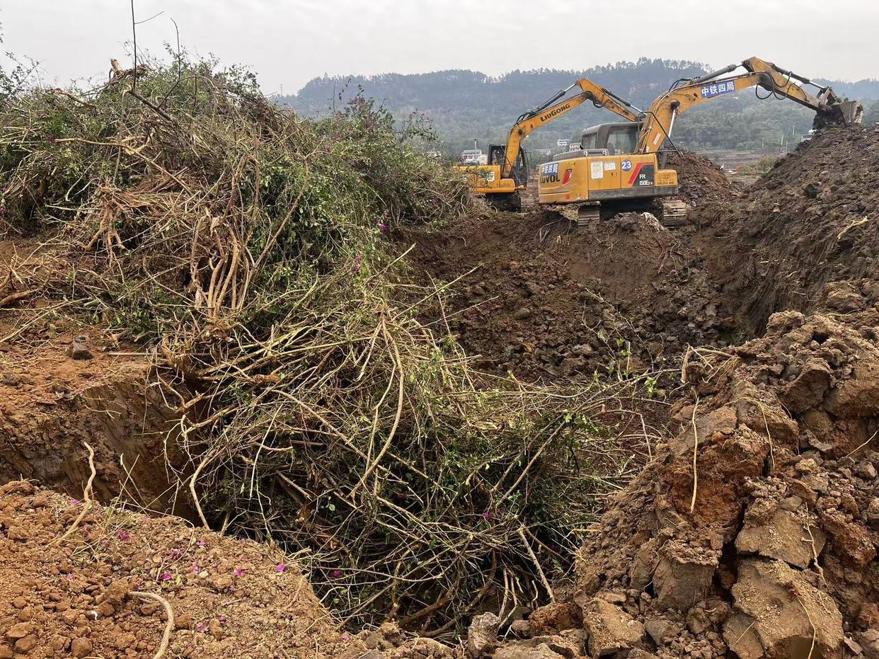 法治面｜为整治土地“非粮化”百亩苗圃被毁，四川高院裁定提审