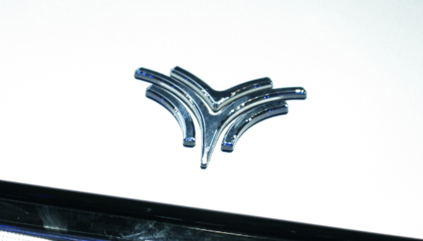 哪吒汽车创始人等成被执行人，该公司重整仅一家意向投资人符合报名要求