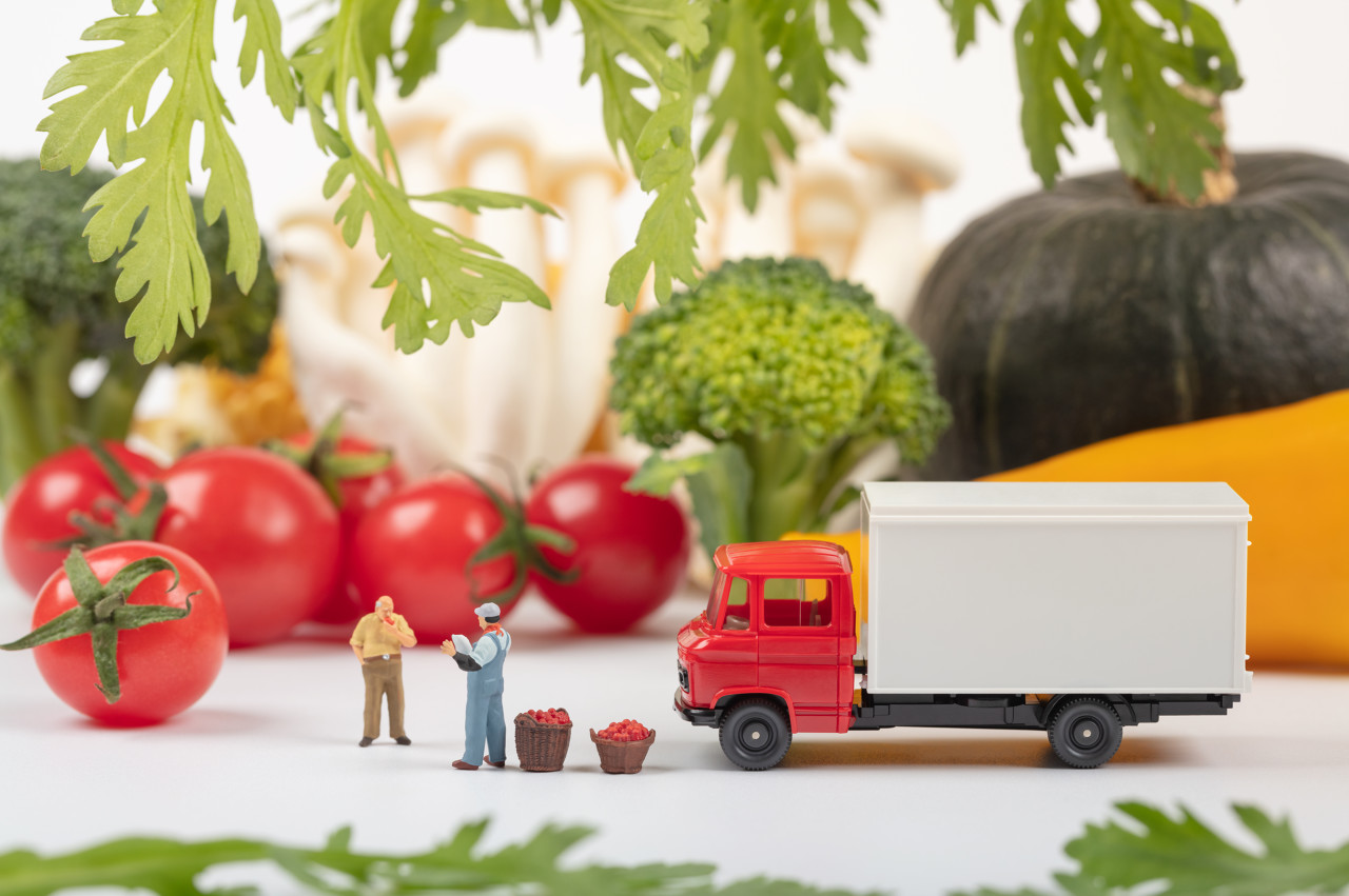 生鲜电商竞争从规模转向供应链