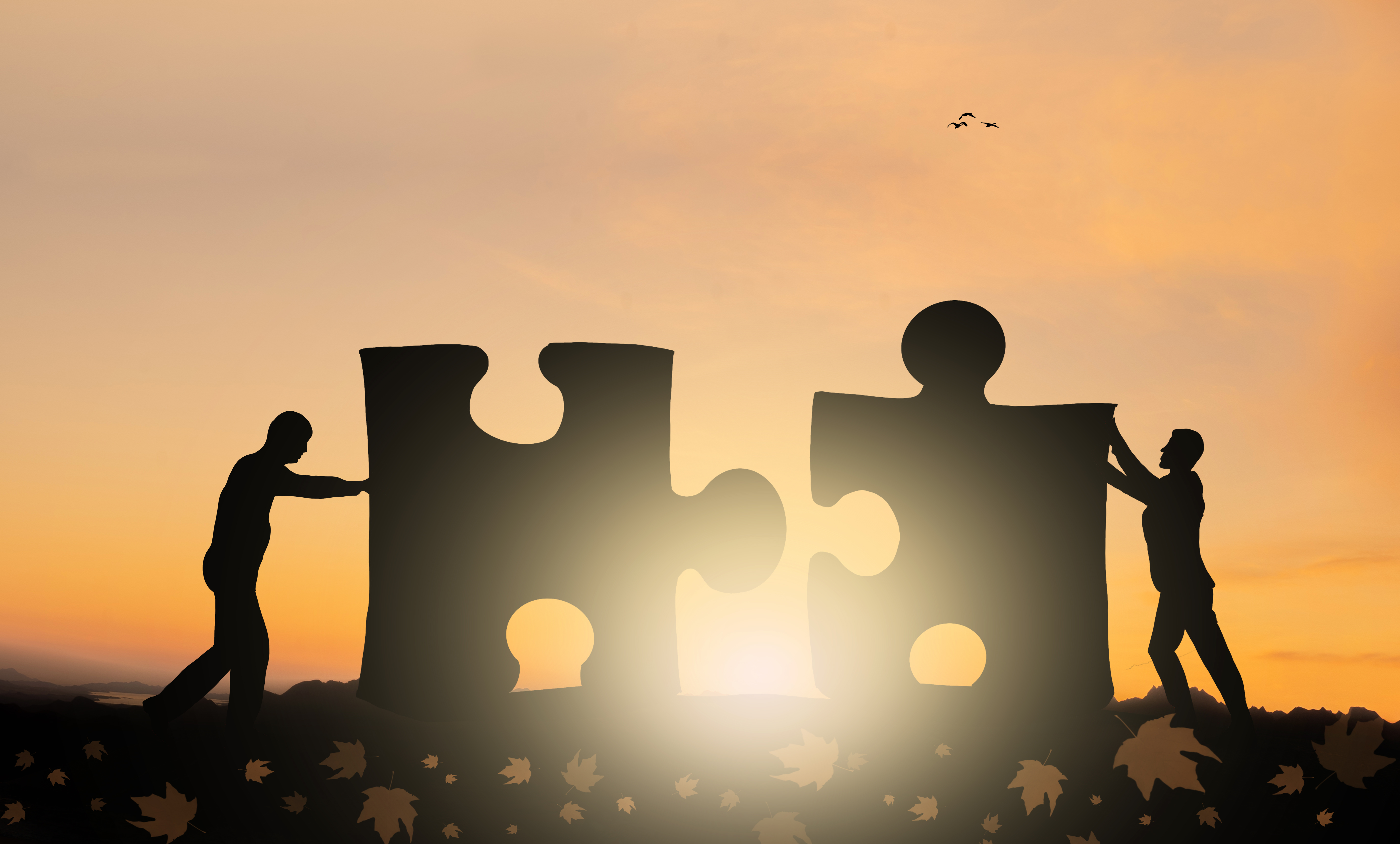 天目湖出售动物王国公司4.5944%股权，千亩重点文旅项目终止实施