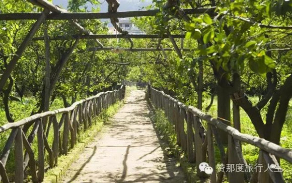 苏莲托:一个刚刚抵达就想重返的地方|界面新闻