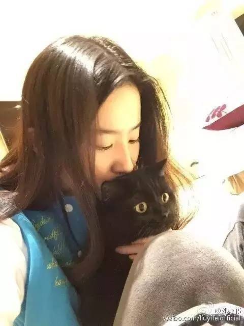 很爱她的小黑猫 刘亦菲对它的爱不仅 是从各种亲昵的合照里面体现