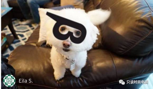 扎克伯格做帽衫的服装网站,如何成为程序员最