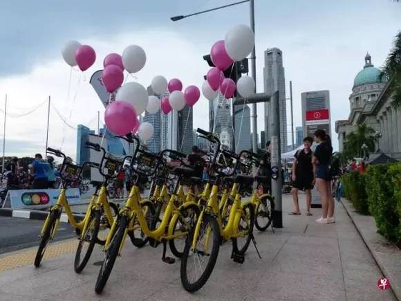 新加坡怎么就成了共享单车的主战场了呢|界面