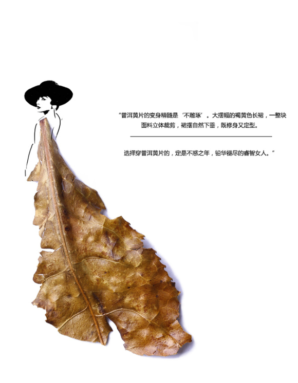 普洱黄片:不惑之年,芳华绝代