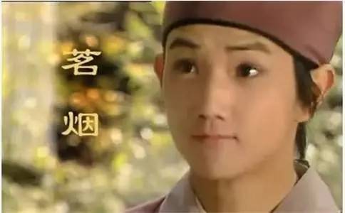 红楼梦里贾宝玉身边有个恶奴,给他弄了一堆小