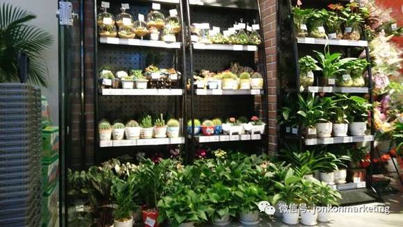 康品汇:打造社区生鲜O2O+创新模式|界面新闻