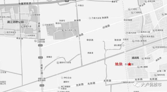 浦江镇人口_党代表支招浦江镇大型居住社区建设(2)