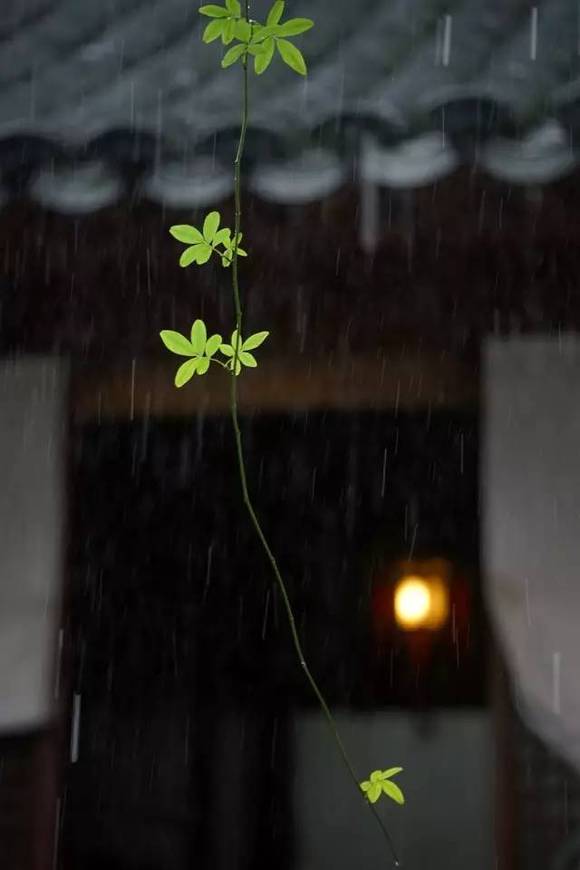 古屋听雨 ,悠长悠长