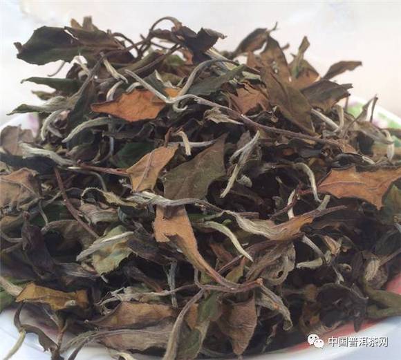 你知道白茶有哪些功效吗?|界面新闻 · JMedia