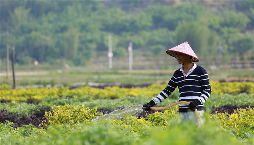 打出教育和产业等扶贫组合拳 碧桂园加码东西
