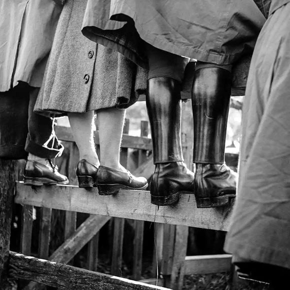 穷其一生追逐光与影的信仰者,被授予终身成就