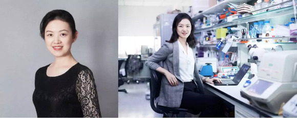 极少数派的中国女科学家们(二)