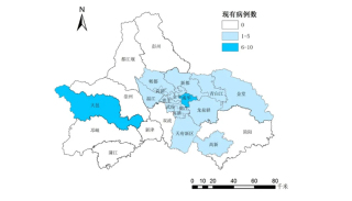 根据四川省区(市)县疫情高中低风险分区分级标准,全市疫情地图如下