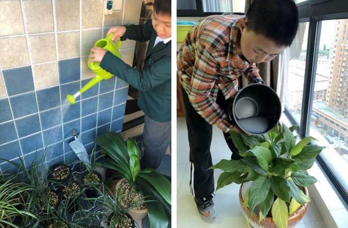 学生在家践行节水理念
