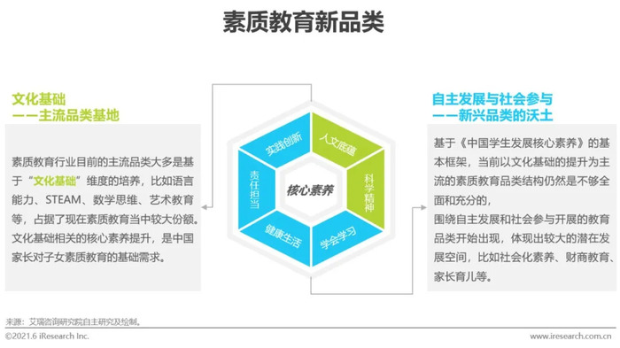 2021年中国素质教育行业趋势洞察报告