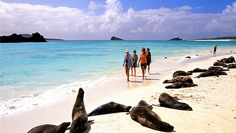 地球上的天堂！加拉帕戈斯群岛成为世界最美的小岛
