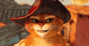 猫穿上了靴子,就成为了高贵的绅士▼