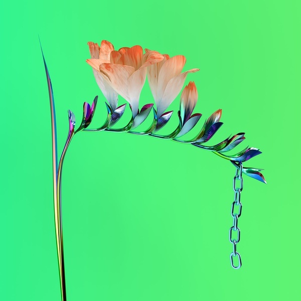 Cover Art Project 2016 唱片封面大赏，是摄影作品，也是艺术