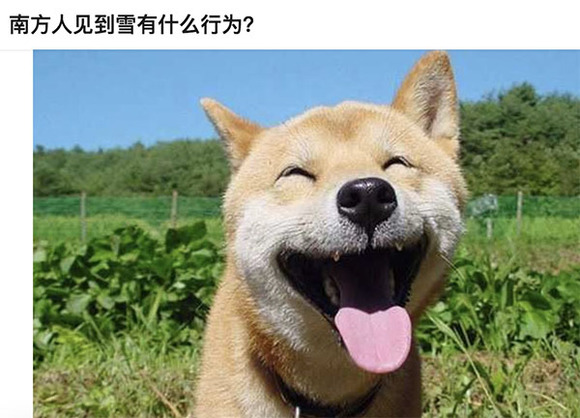 南方人口有_南方有乔木图片