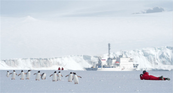 南极游价格越来越亲民 但选对团还是门学问