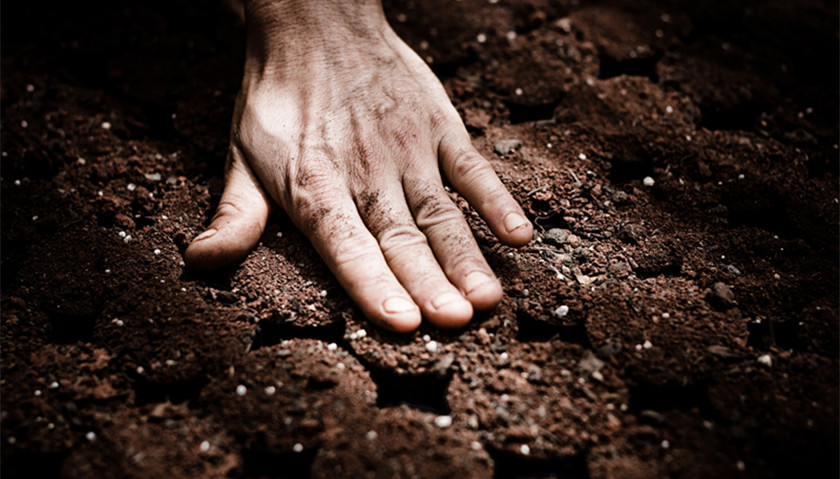Руками портит. Защита почвы. Земля почва. Почва и человек. Загрязнение земли и почвы.