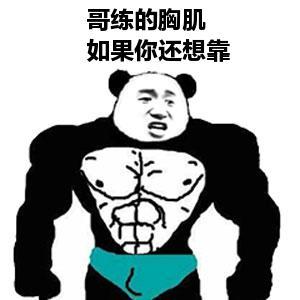 肌肉熊猫表情包图片