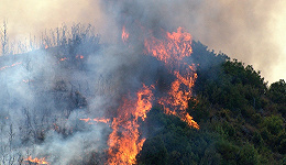一周声音|应急管理部：凉山森林火灾30名牺牲人员被批准为烈士
