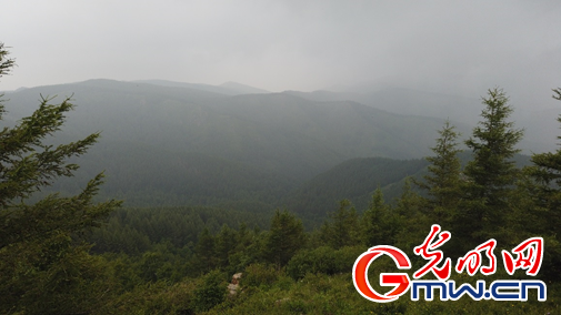 旅游产业续写苏木山人工林场绿色传奇