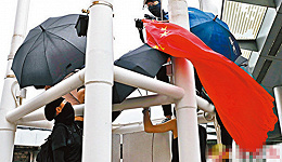 扯国旗扔入海的香港暴徒被捕：4男1女，身份曝光