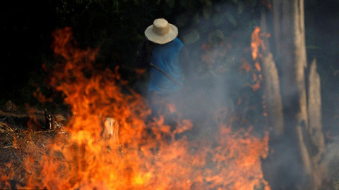 从亚马逊火灾到亚马逊云服务故障：人类的脆弱与虚荣