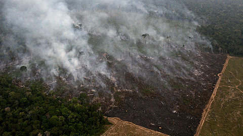 亚马孙去森林化达十年来最快水平，巴西或在气候大会上承压
