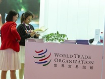 WTO面临危机，副总干事呼吁成员国创建数字经济规则