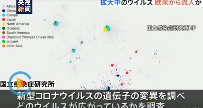 日本专家证实 目前在日本流行的新冠病毒来自欧美 界面新闻