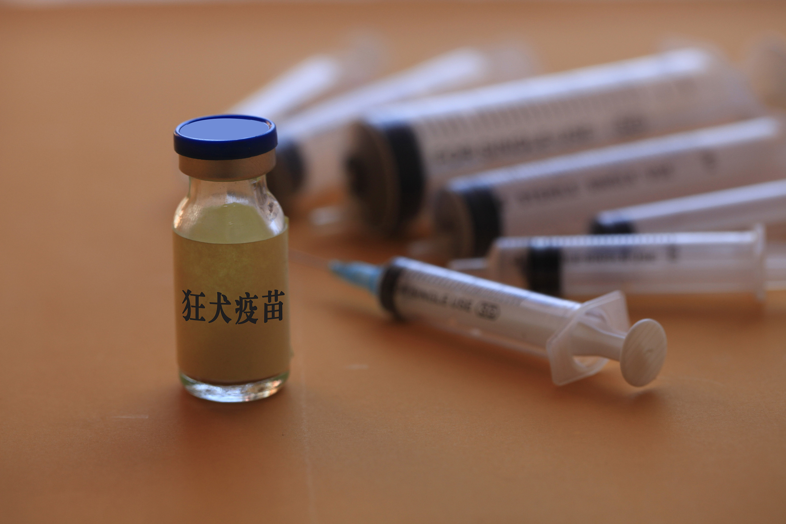 上海自主研发的猪伪狂犬病灭活疫苗发布上市