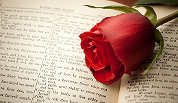 “昔日玫瑰以其名流芳”：莎翁笔下的红白玫瑰之战 | 一诗一会