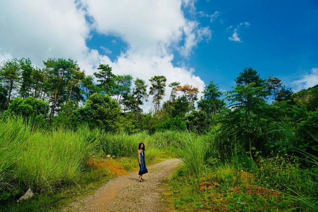 温州A级景区集合,有的闻名四海有的鲜为人知,收藏起来去打卡